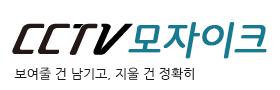 CCTV 영상 모자이크